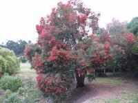 Albums/20060200-New Zealand 2006/20060318-Kaikiura/53